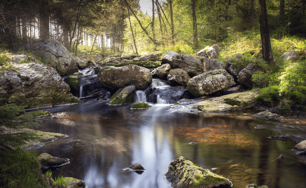 Balade atour du Domaine Legros - La Hoegne pont de